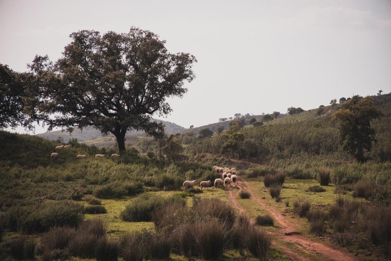 הוילה Benafim Quinta Do Freixo מראה חיצוני תמונה