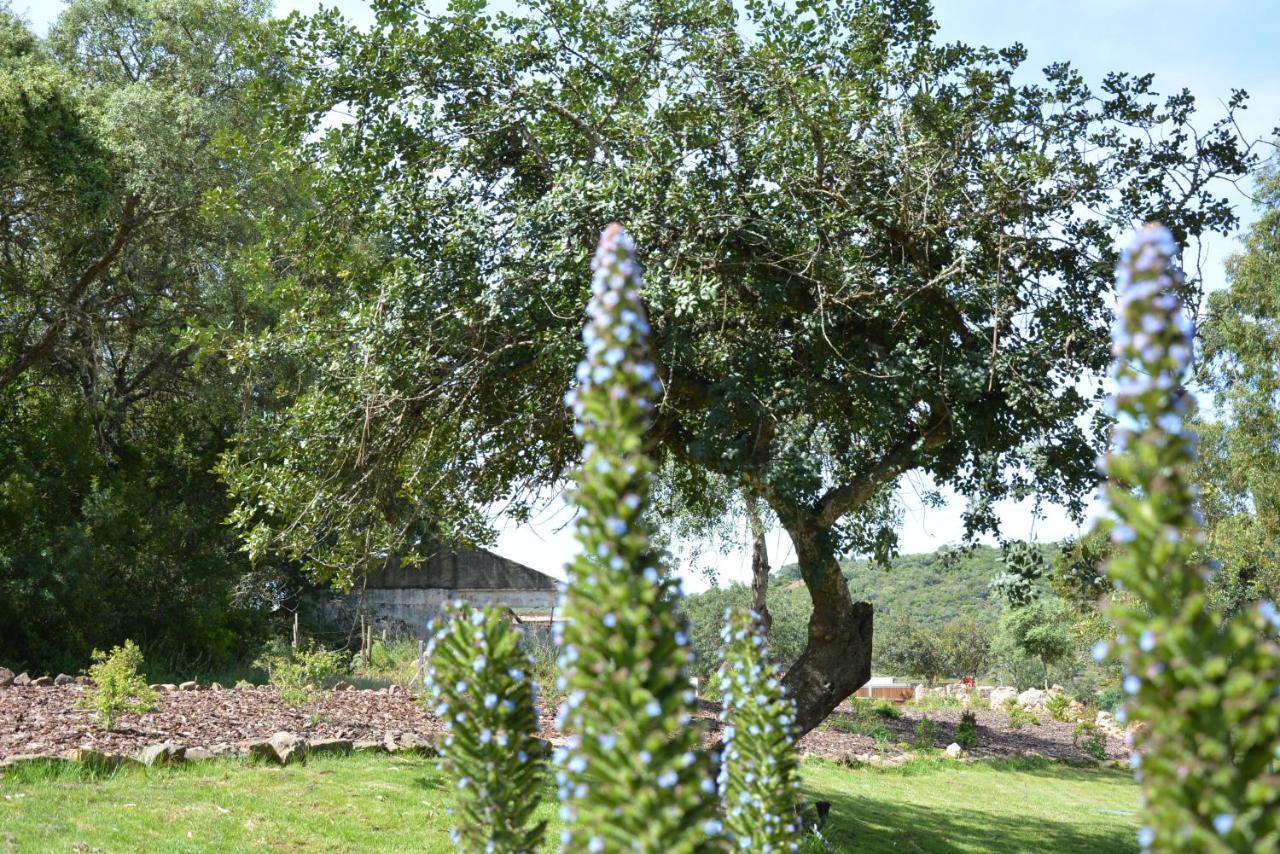 הוילה Benafim Quinta Do Freixo מראה חיצוני תמונה